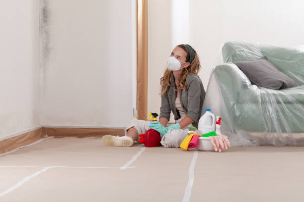 Reliable Commercial Mold Remediation contractor in Schertz, TX by 24 Hour Mold Removal